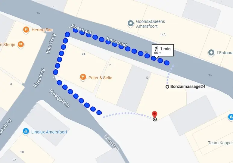 Looproute naar Bonzaimassage24 vanaf Koestraat via Haagplein in Amersfoort – achteringang via zonnestudio Sunday’s aangegeven op kaart.
